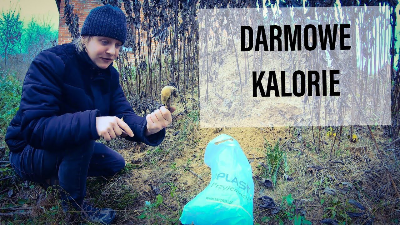 Ta roślina pozwoli przetrwać - topinambur ! Przepis na kawę #6