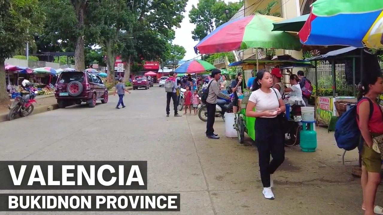 Valencia City, Bukidnon Province - Philippines countryside walking tour #bukidnon