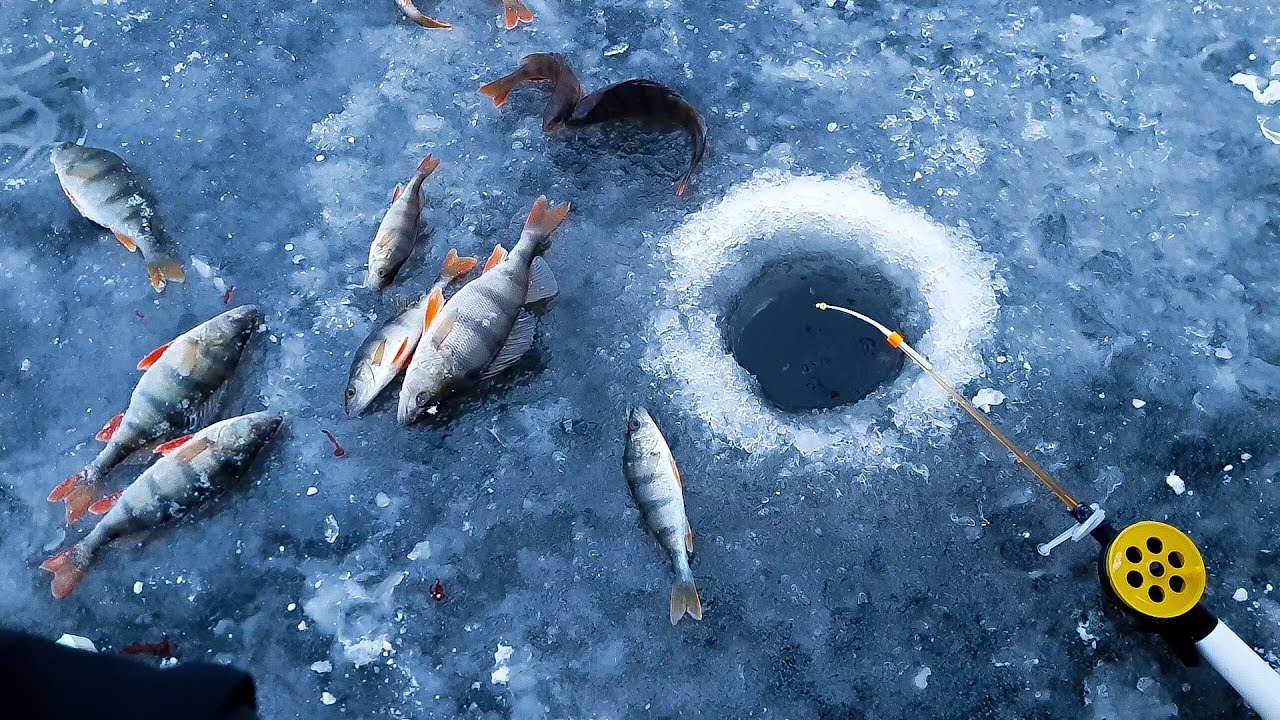 Esimene jääpüük 11.12.2020 Keeri järv