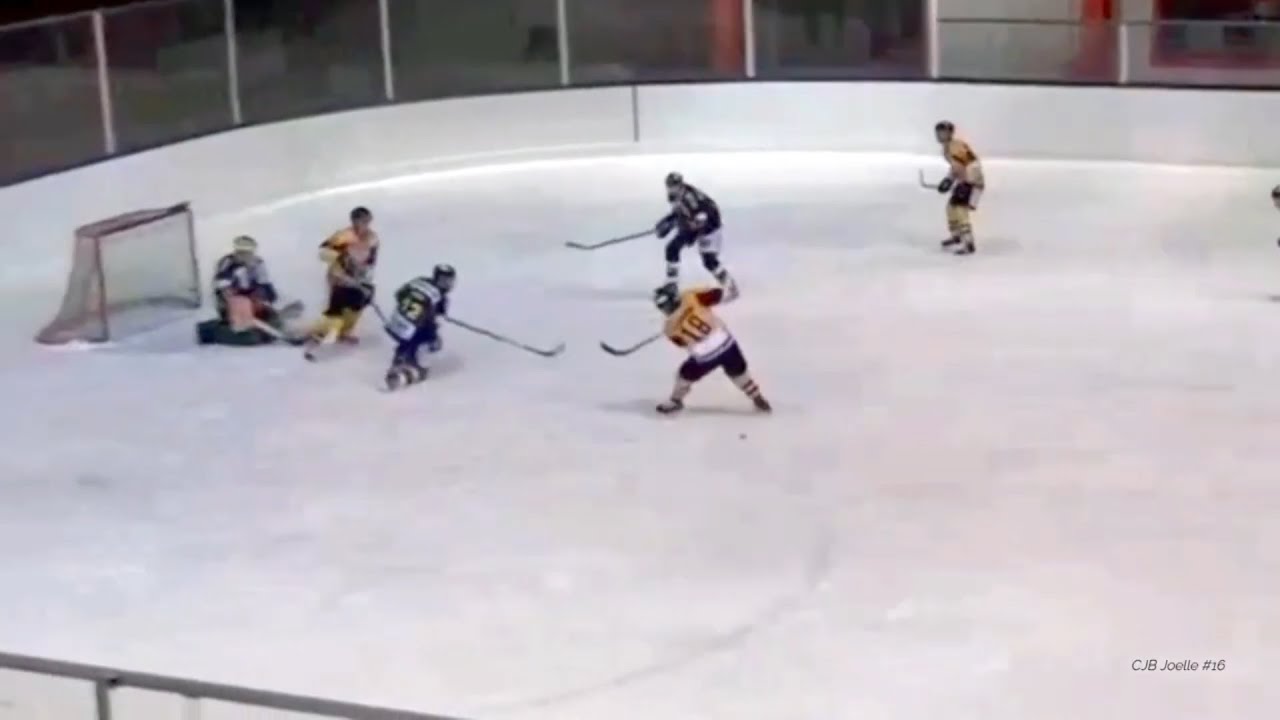 Mastini a caccia di rivincite a Bressanone