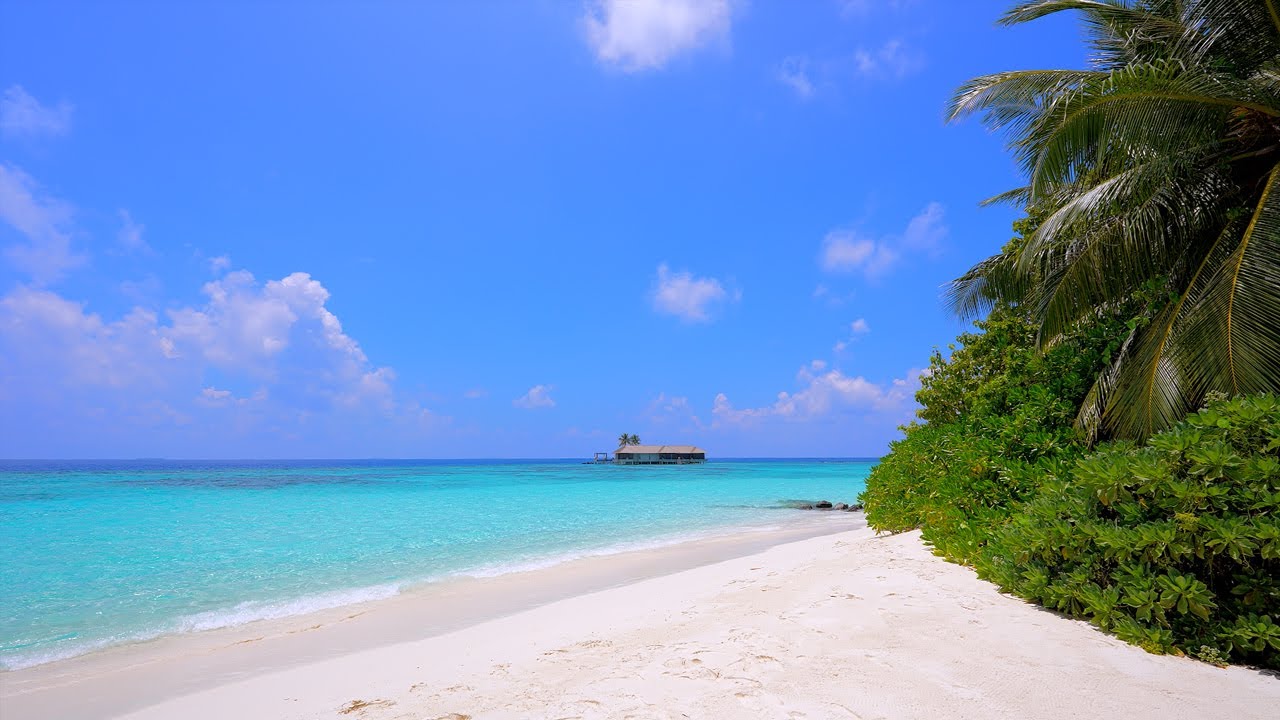 Paradise Found: Ocean and Wild Beach! Maldives 4K ULTRA HD