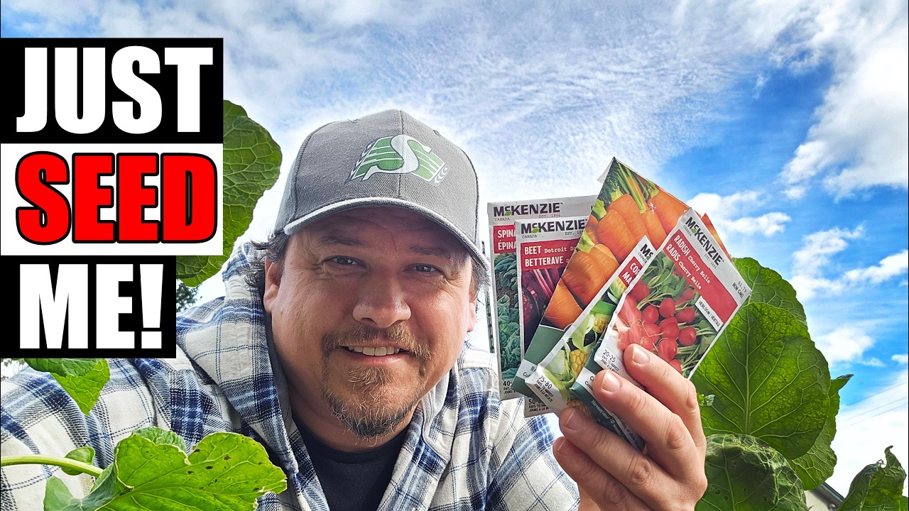 6 Crops That Do Better From Direct Seeding