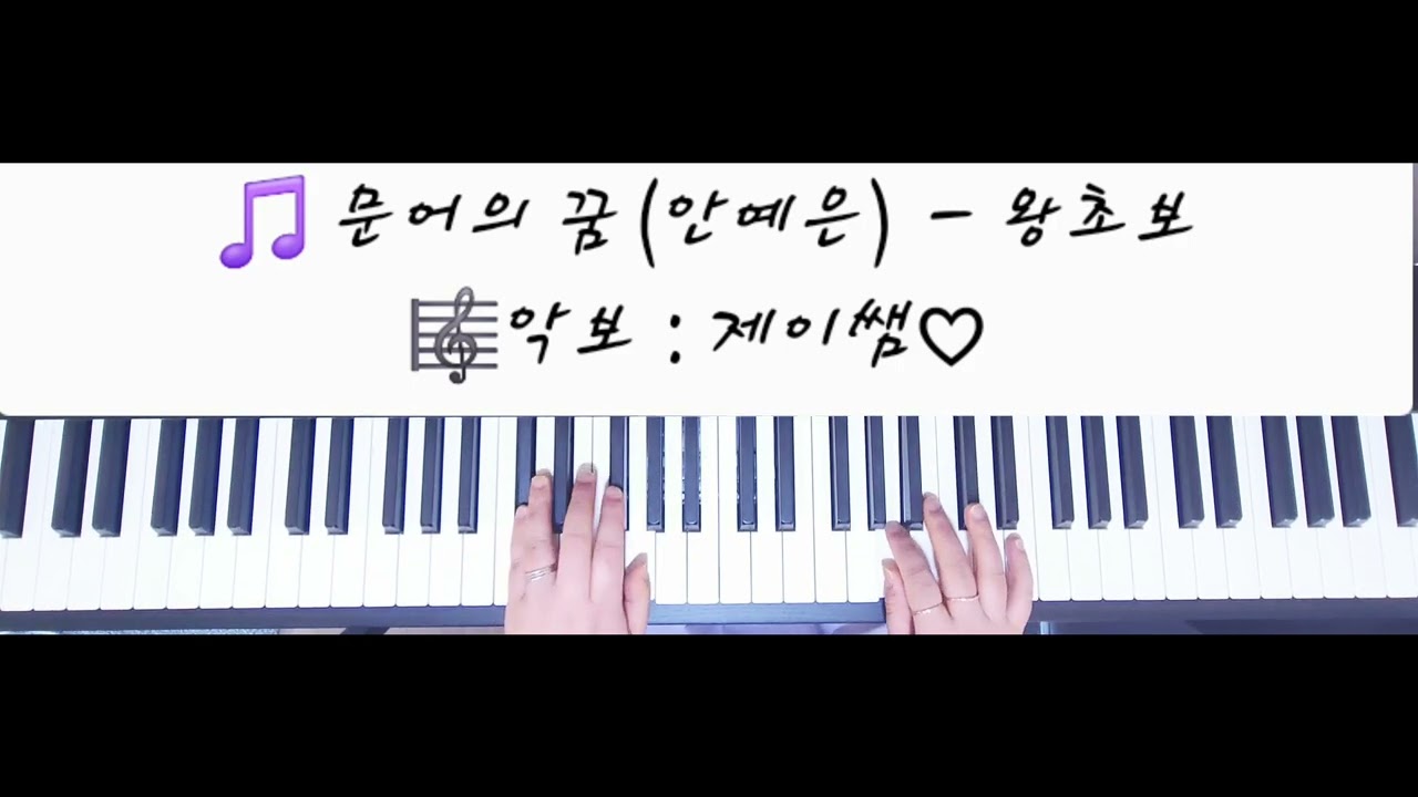 #문어의꿈#안예은#문어의꿈쉬운악보#제이쌤#문어의꿈피아노✅️악보링크는 고정댓글&더보기란에♡