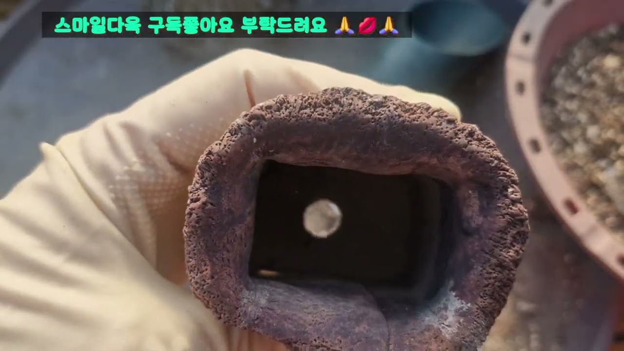 #스마일다육 수확의기쁨을 #베란다에서도 즐겨보세요