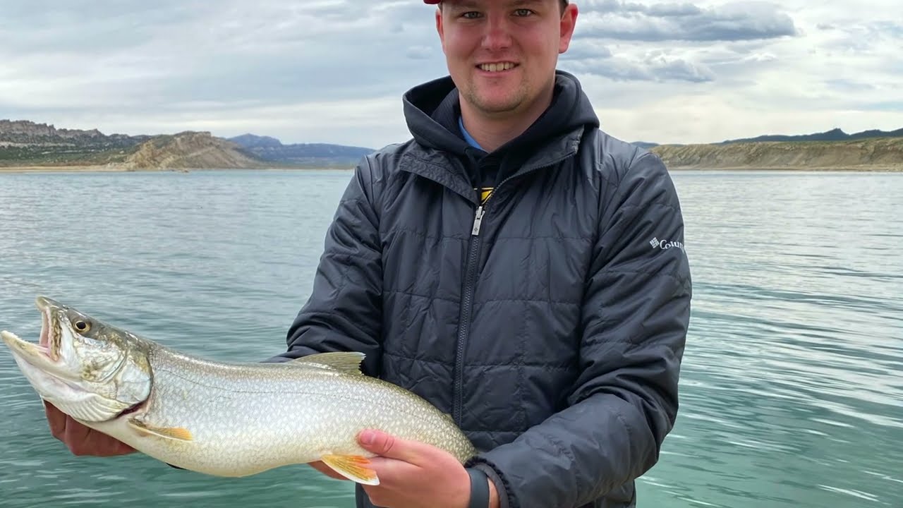 Epic Lake Trout from the Shore of Flaming Gorge | Catch, Free Camping, & Cook