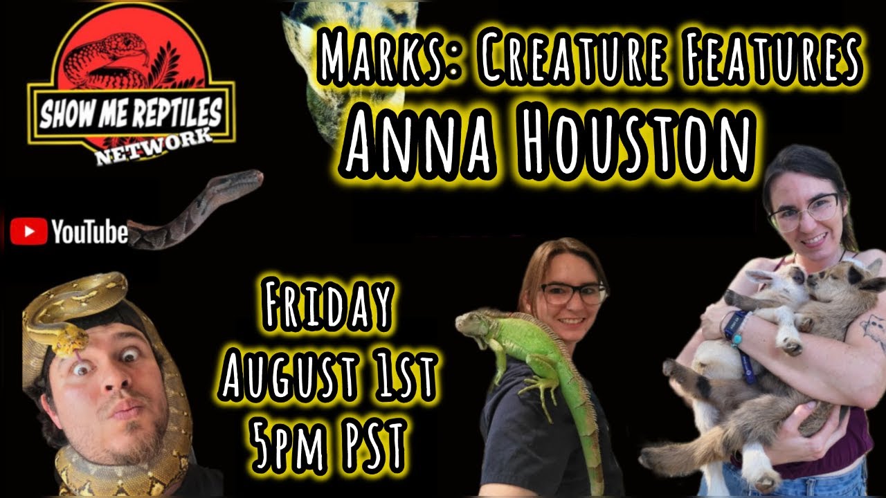 Talking Vet and Exotic Animal Life with Anna Houston.