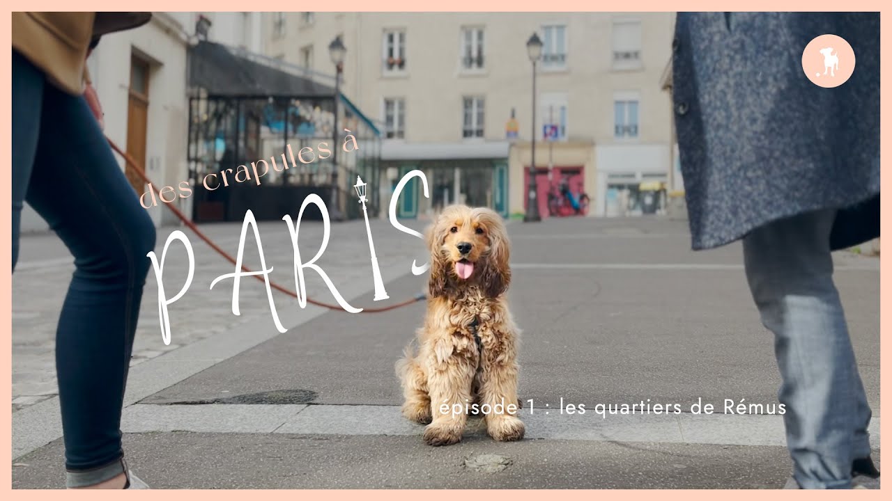 Des crapules à Paris #1 -  les quartiers de Rémus