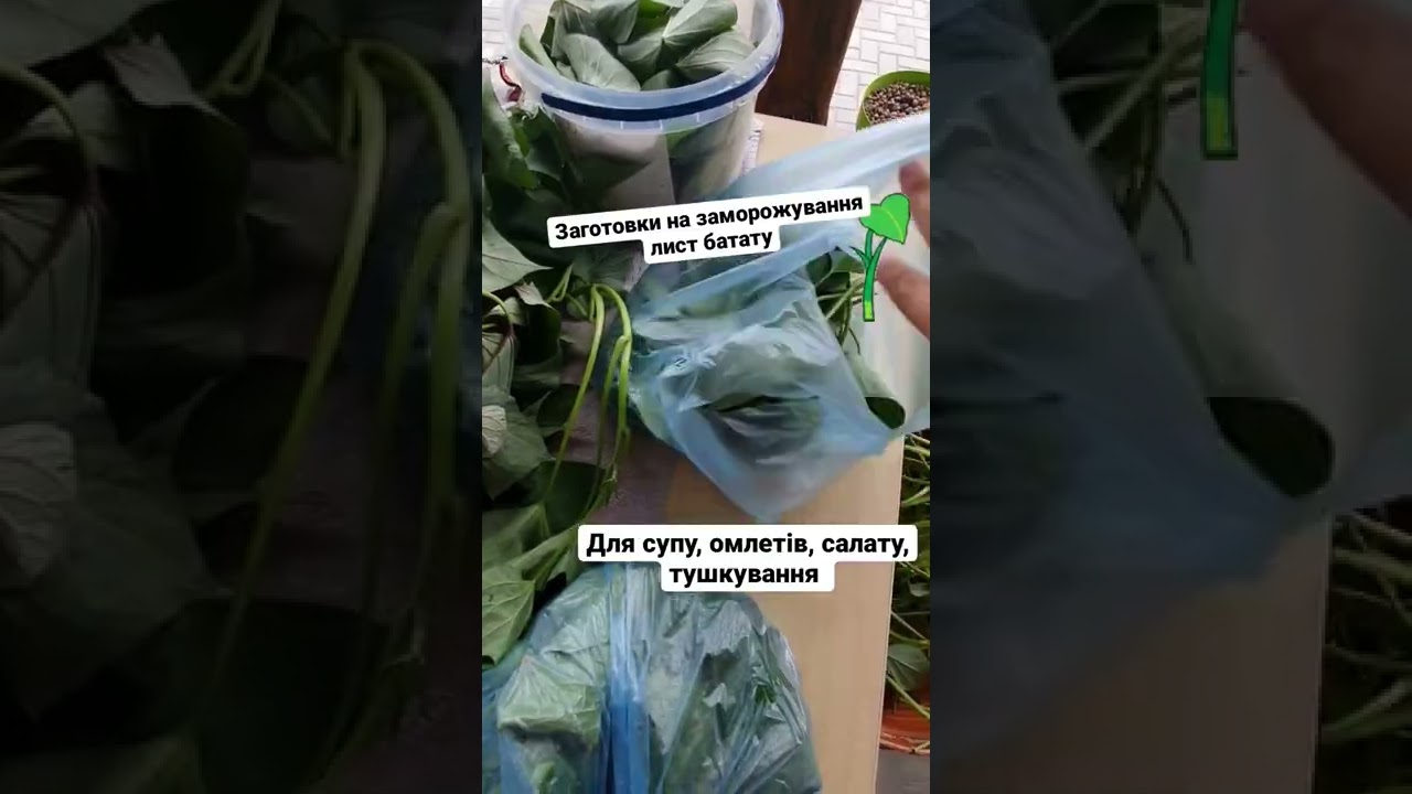 Листя батату для заморозки