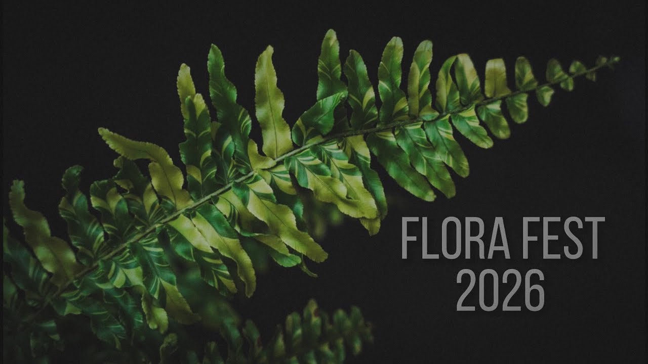 FLORA FEST ВЕСНА 2026 🪴#комнатныерастения #plants #растения #алоказия #монстера