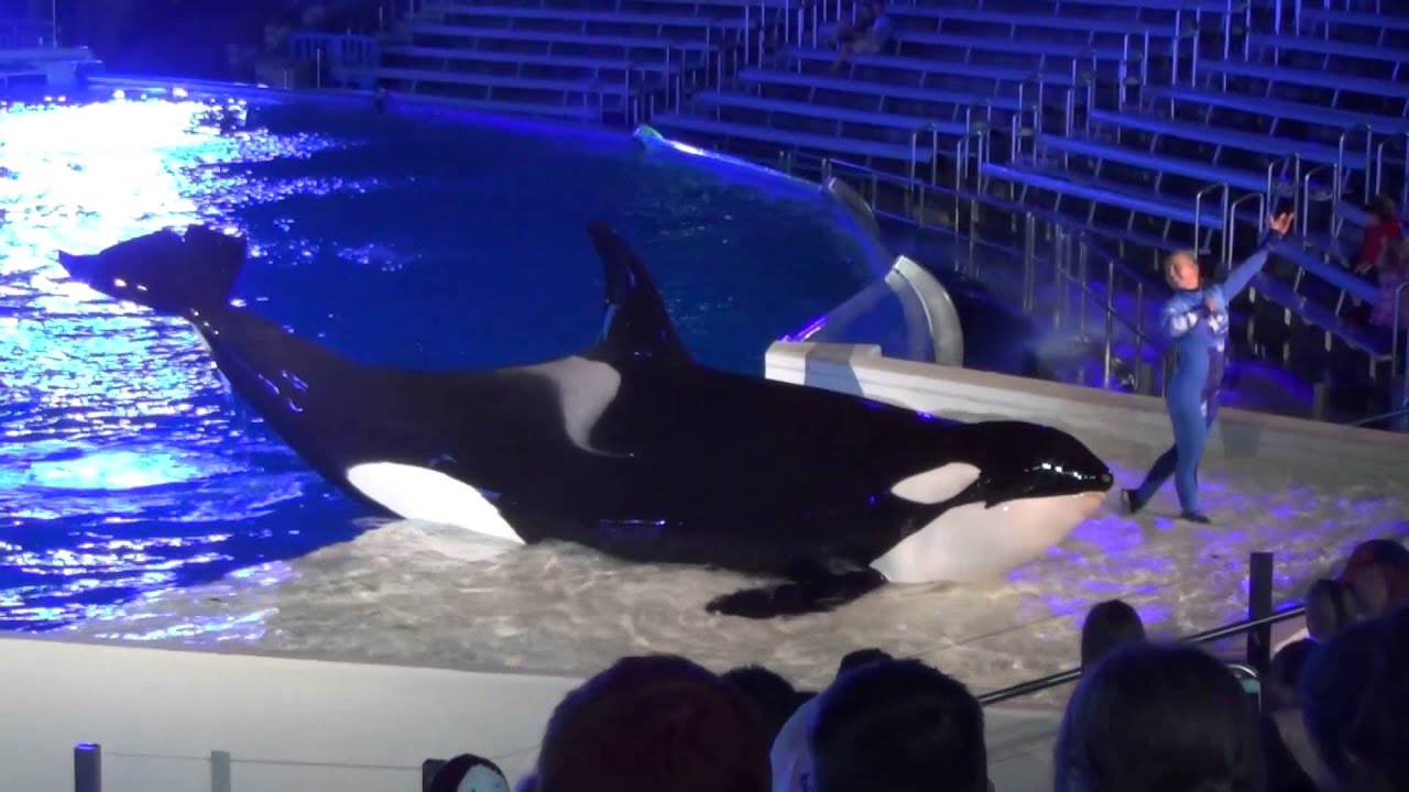 Night-time One Ocean - Full Show SeaWorld San Diego - April 2014