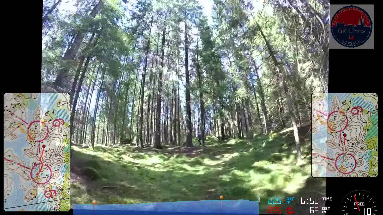 O-Ringen 2015 E4 H45K, Tommy Stenvi