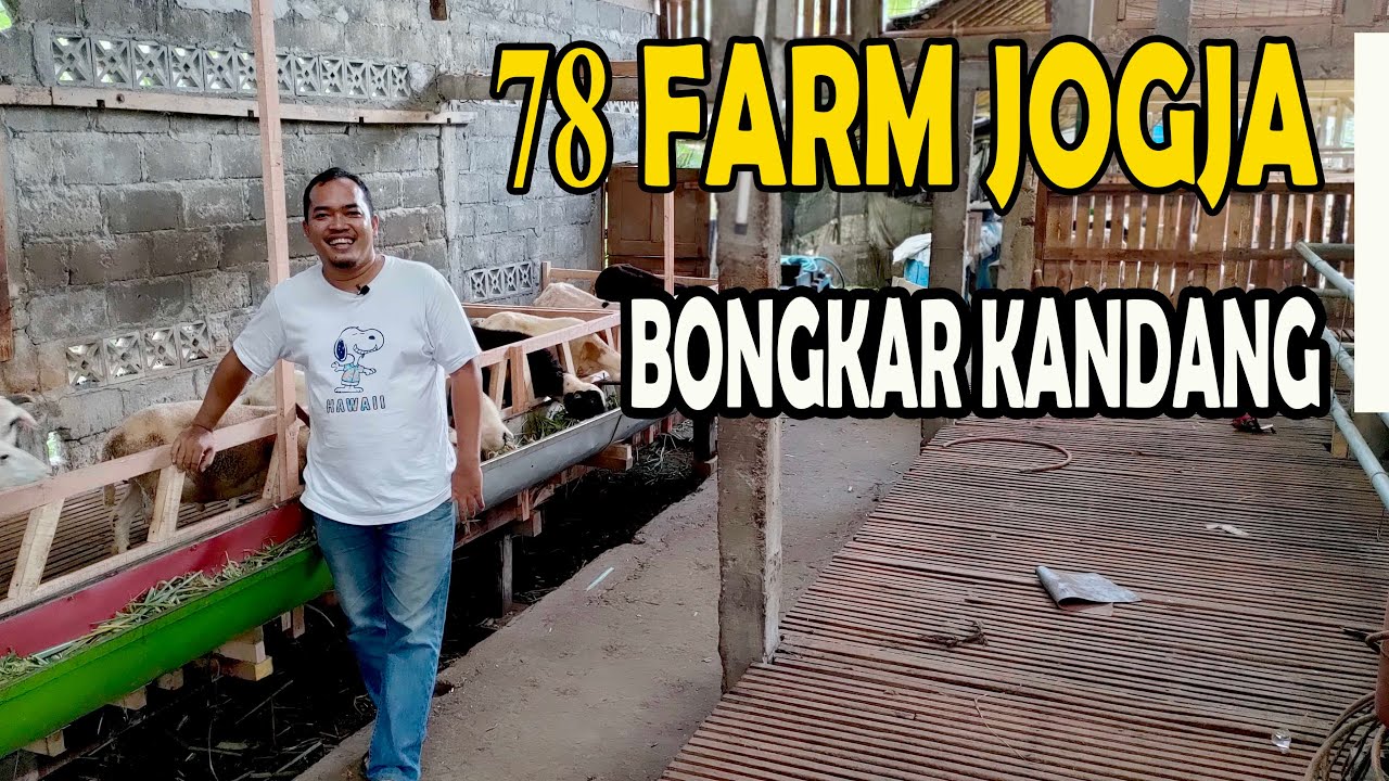 Harus bongkar kandang kambing domba demi sebuah perubahan