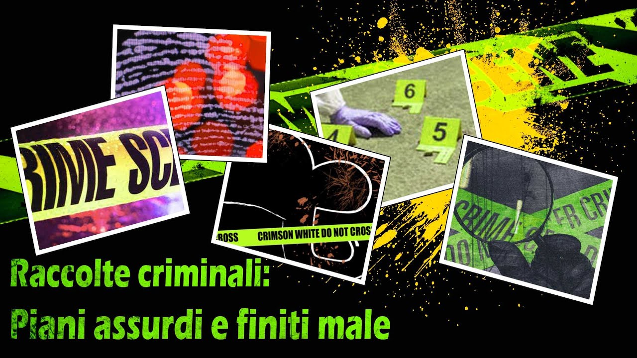 Raccolte criminali: Piani assurdi e finiti male (Vol.3)