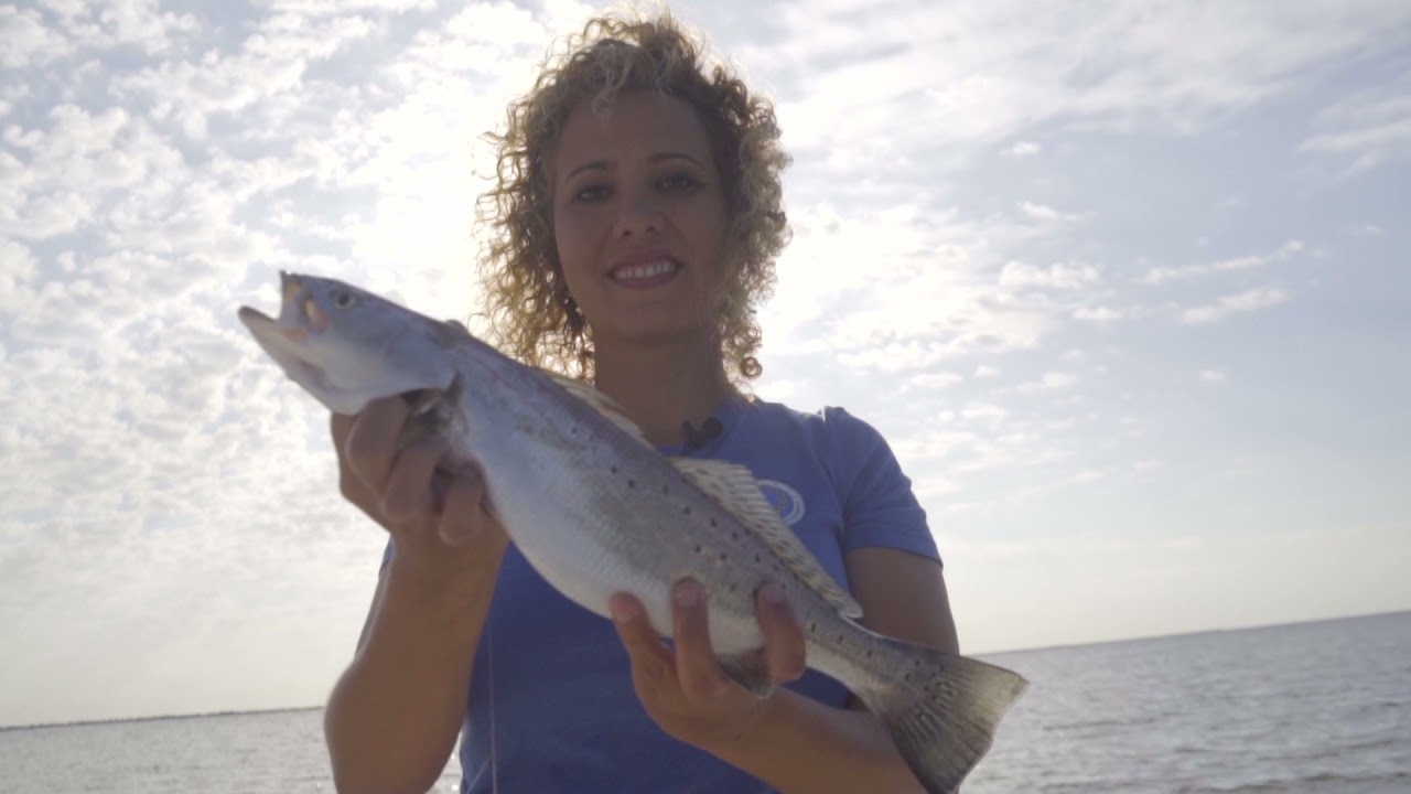 Specks on The Long Rocks