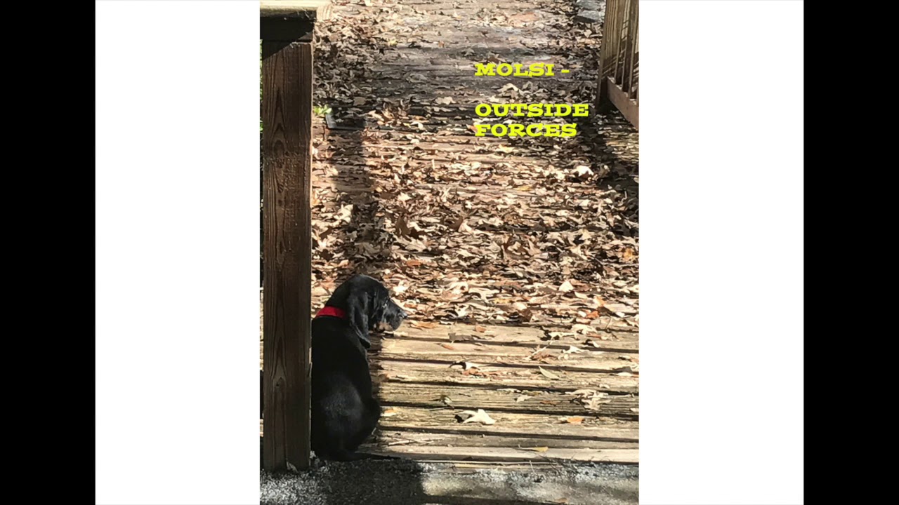 MOLSI - Outside Forces