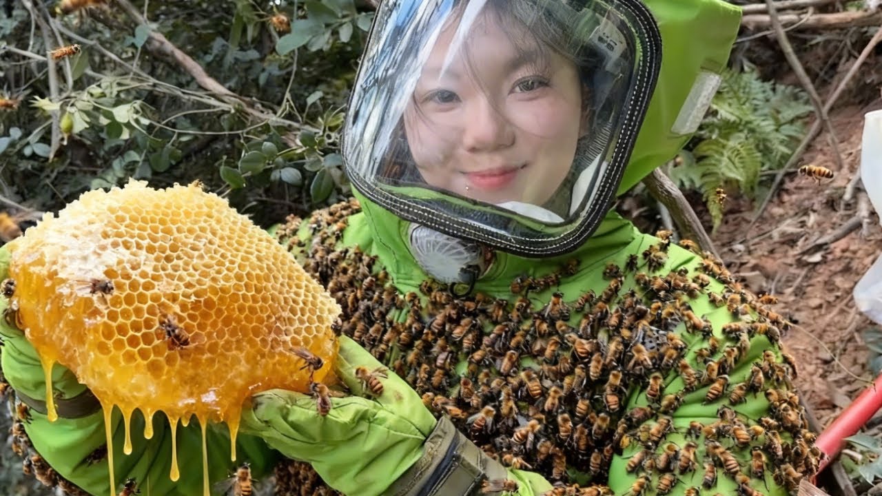 美女体验掏虎头蜂，不料噩梦刚刚开始，40度高温竟发生这种事【蜂狂小成哥】
