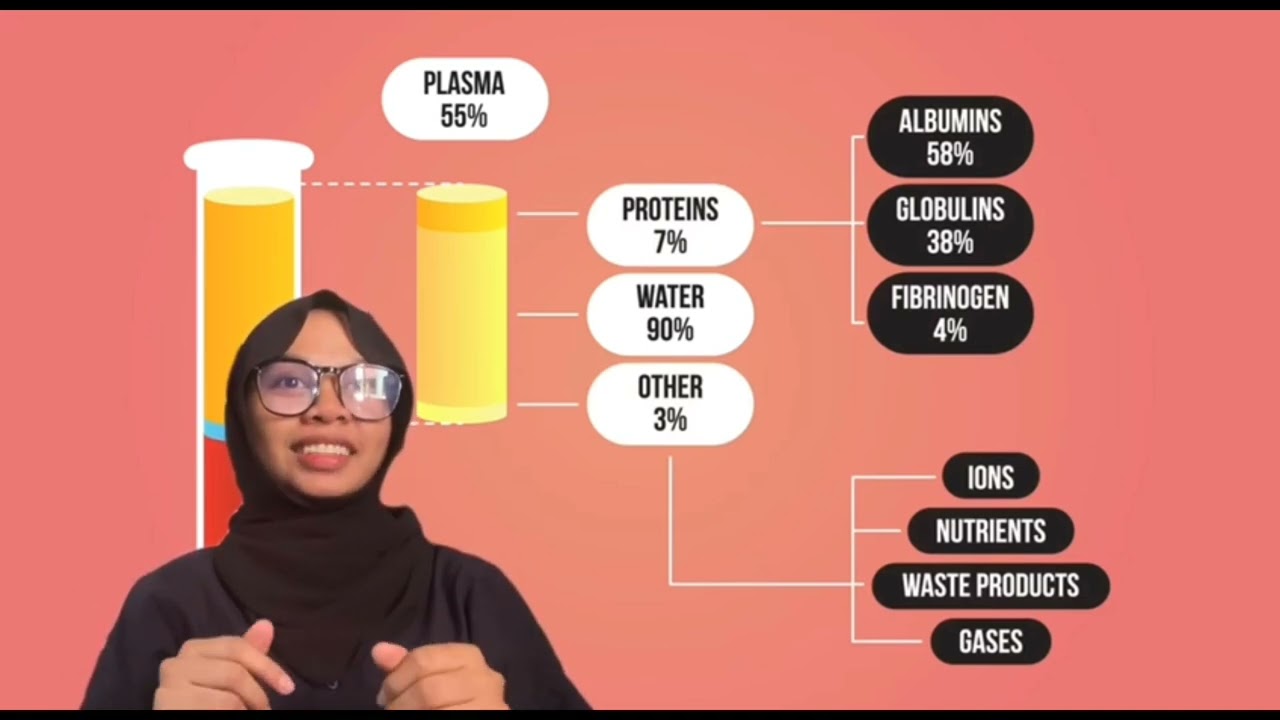 Group 11 Anatomy Video