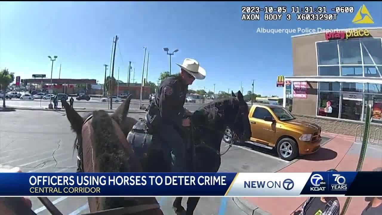 Man backhands Albuquerque police horse