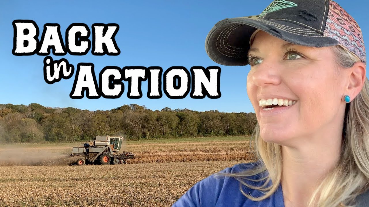 Roll That (Dusty) Bean Footage! Harvest is a Go