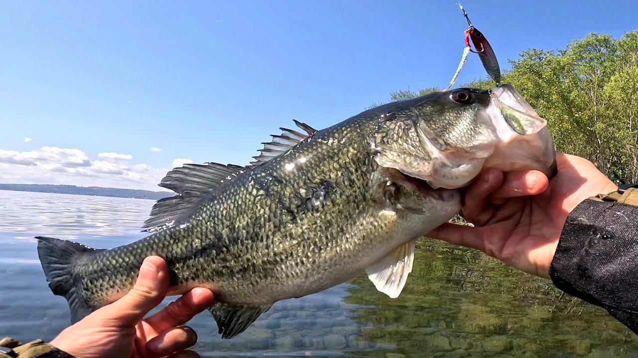 PESCA AL BLACK BASS A SPINNING NUOVA ATTREZZATURA DA PESCA LAGO DI BRACCIANO