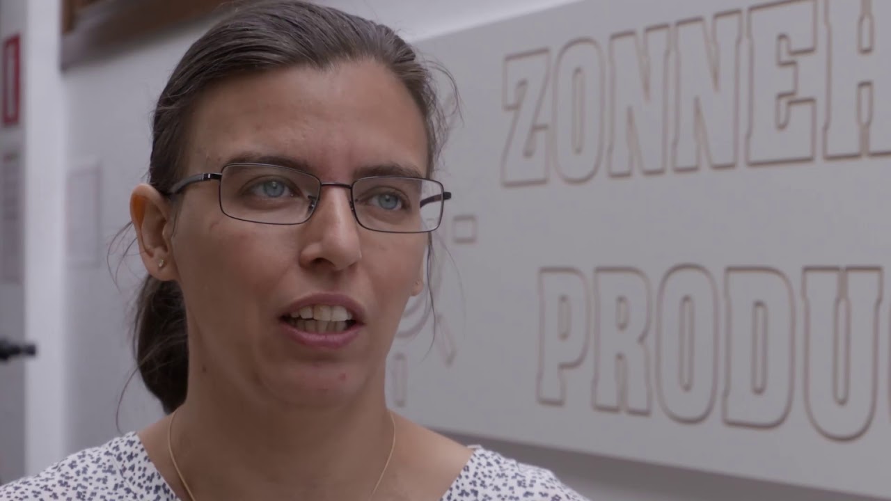 Zonnehoeve - Innovatie in de maatwerkbedrijven: zelfsturende teams