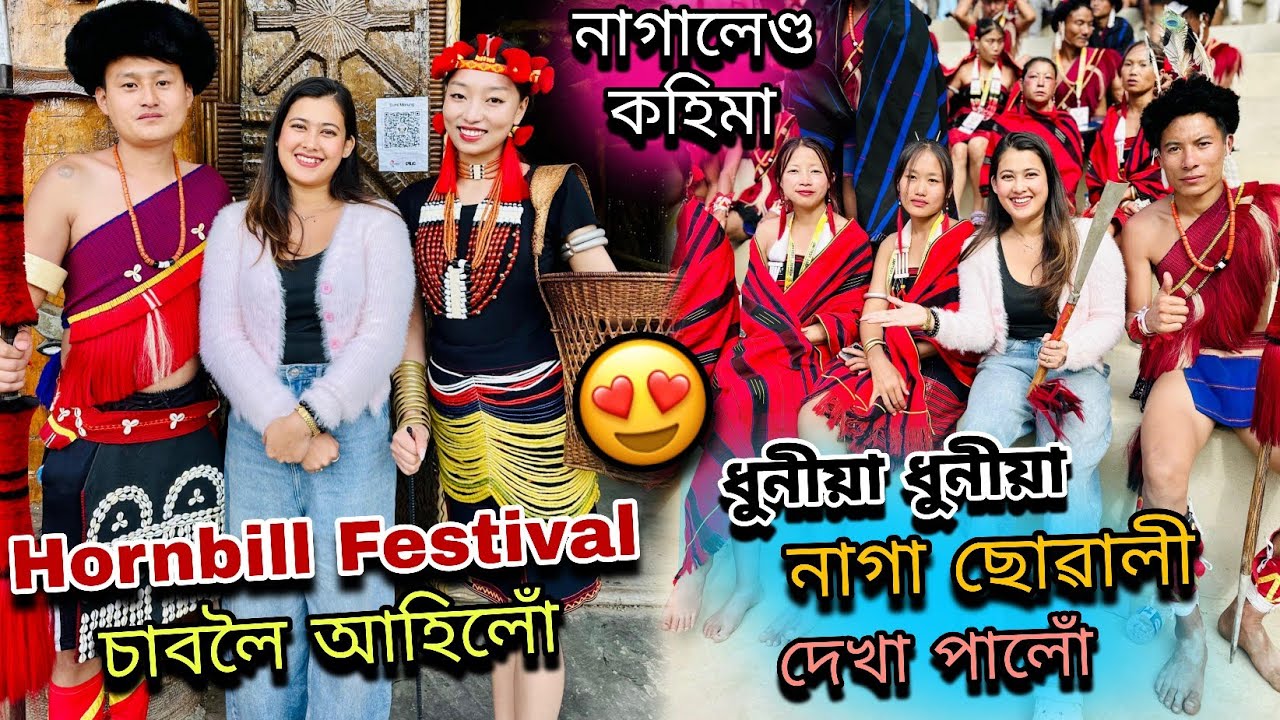 Hornbill Festival চাব আহিলোঁ নাগালেণ্ড কহিমাত❤️||ধুনীয়া নাগা ছোৱালী😍