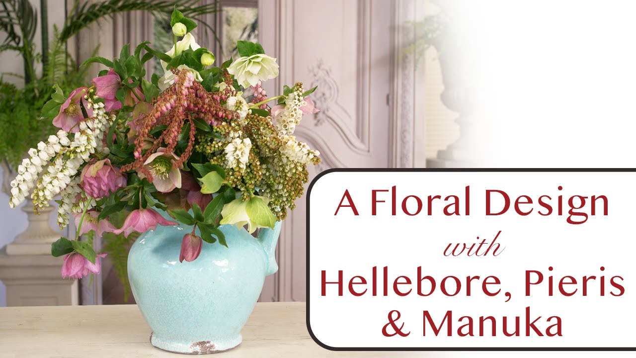 Hellebore, Pieris & a sprig or two of Manuka or tea-tree flowers into a jug