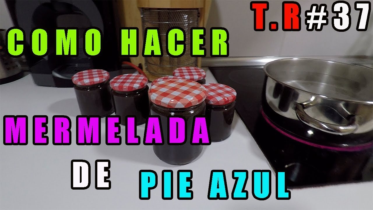 COMO HACER MERMELADA DE PIE AZUL (LEPISTA NUDA)
