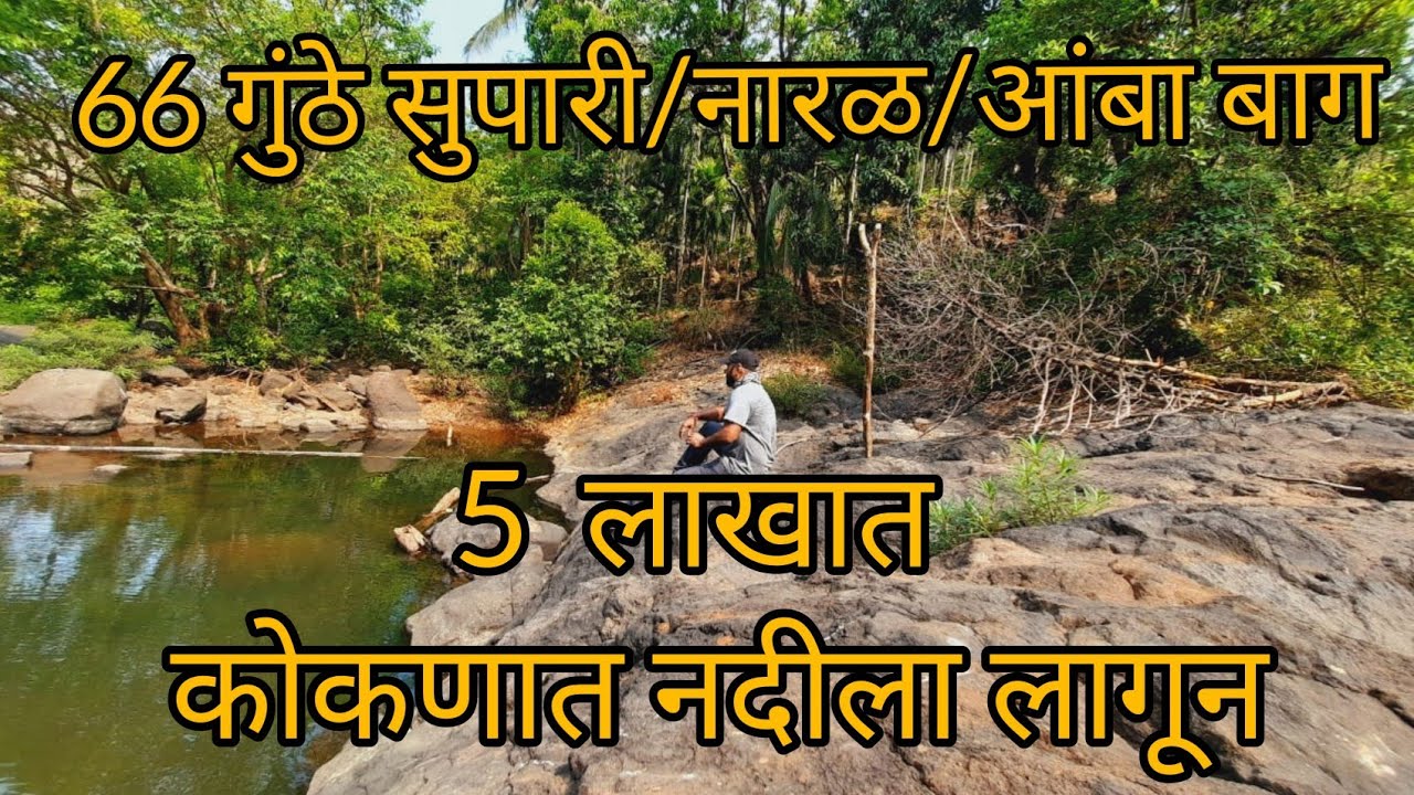 (sold out ) सुपारी /आंबा /काजू/फणस बाग फक्त 5 लाखात || नदीला लागून