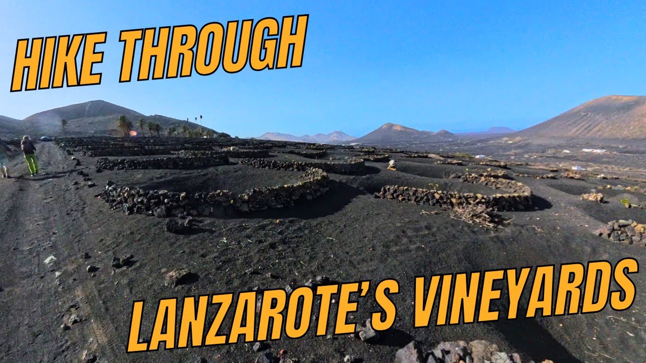 Discover Lanzarote&rsquo;s Wine Region &ndash; A Tour Through La Geria&rsquo;s Vineyards
