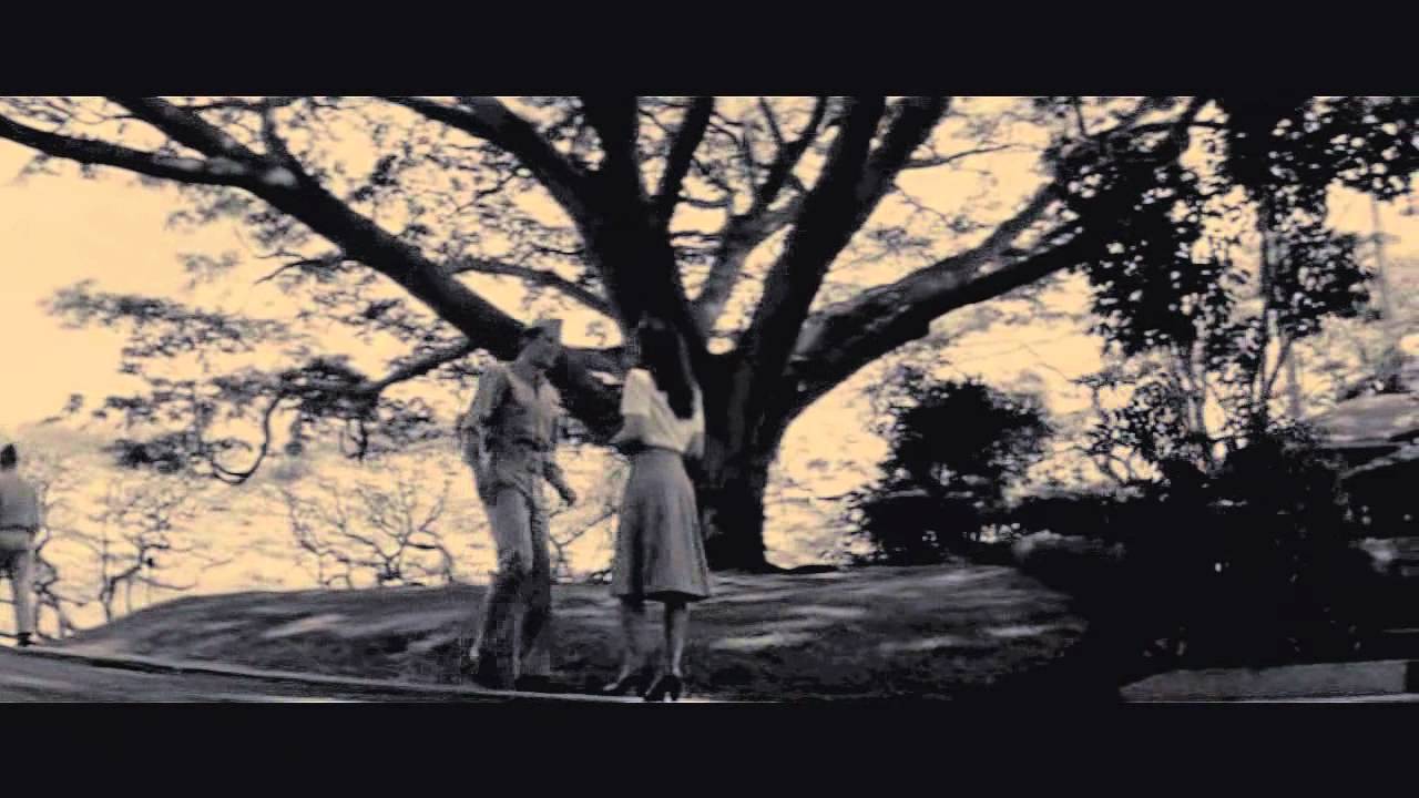 PEARL HARBOR | won't leave me alone