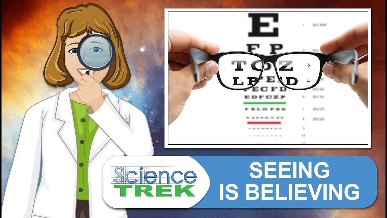 Eyes: Seeing is Believing | Science Trek