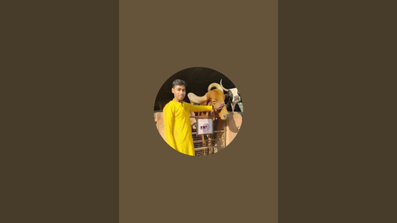 Bihari_ladka_swag_05 is live