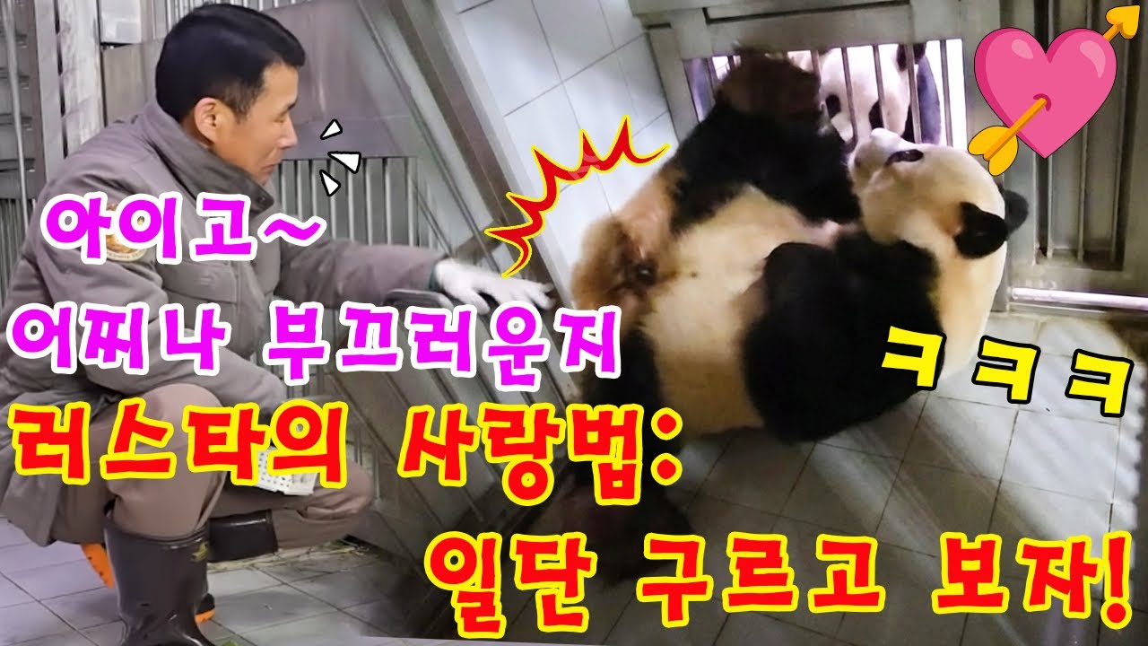 세상에💥 러바오의 끈질긴 유혹💘