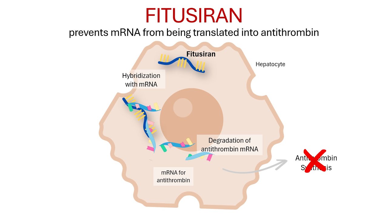 Fitusiran: The Future of Hemophilia Therapy? Mechanism of Action & Clinical Insights │ PHARMACOLOGY