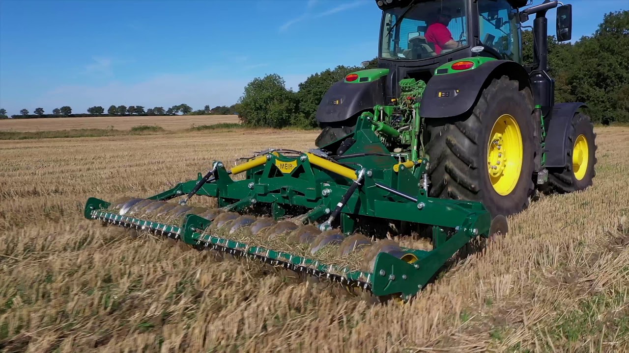 2019 Meir video 4k