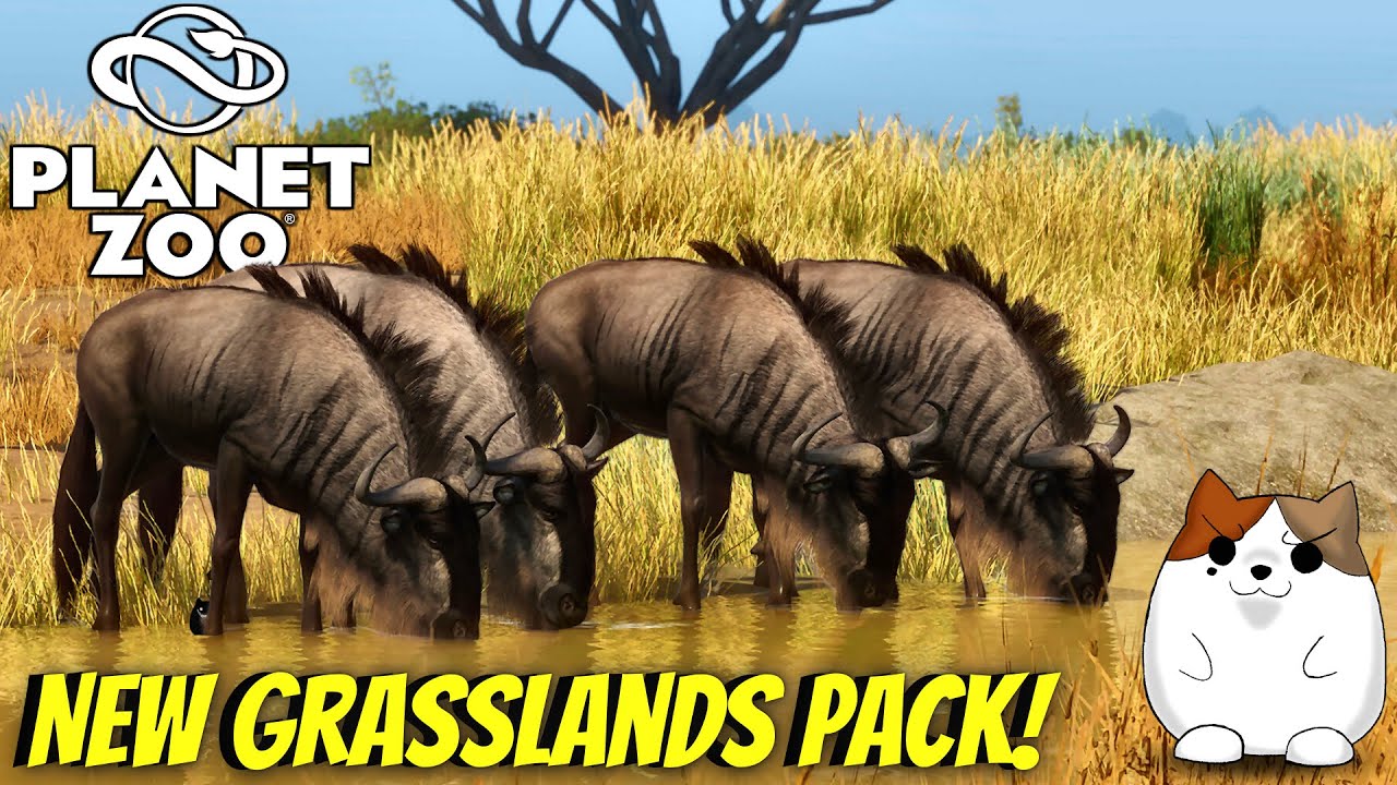 New Grasslands DLC With 8 New Animals! | Planet zoo: grasslands Animal Pack | Simulator Gameplay