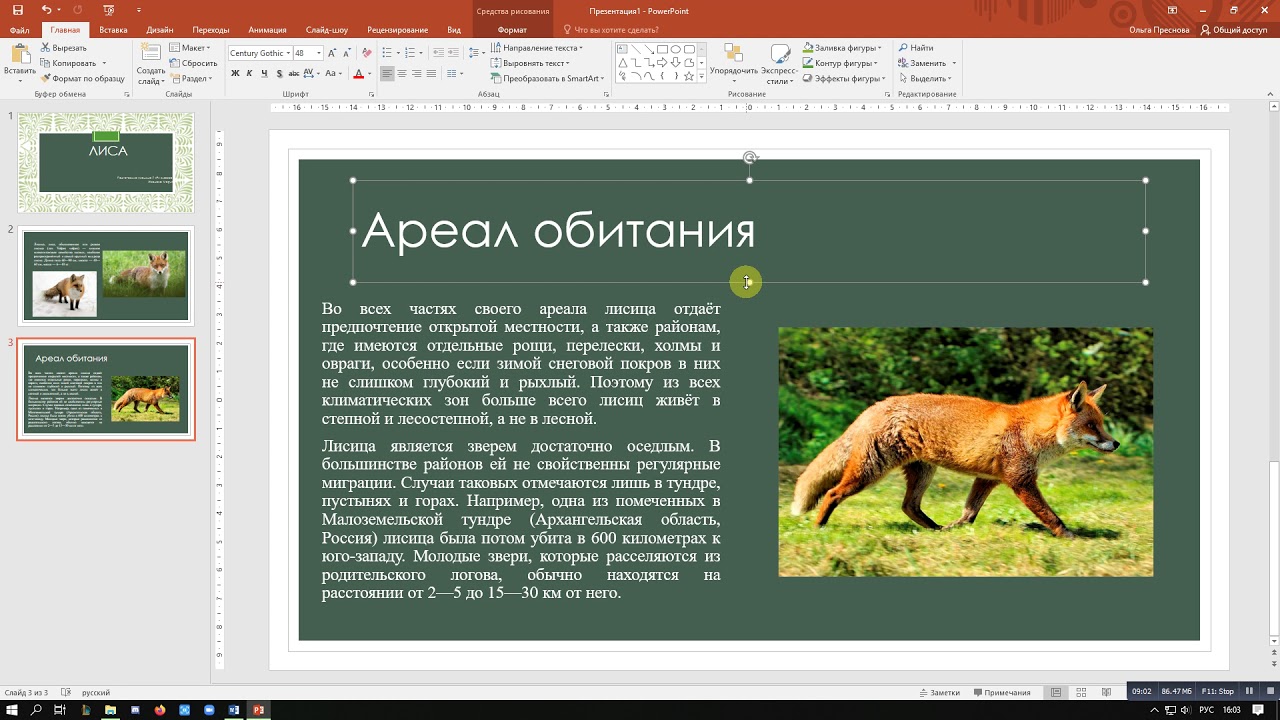 Практическая работа №11. 