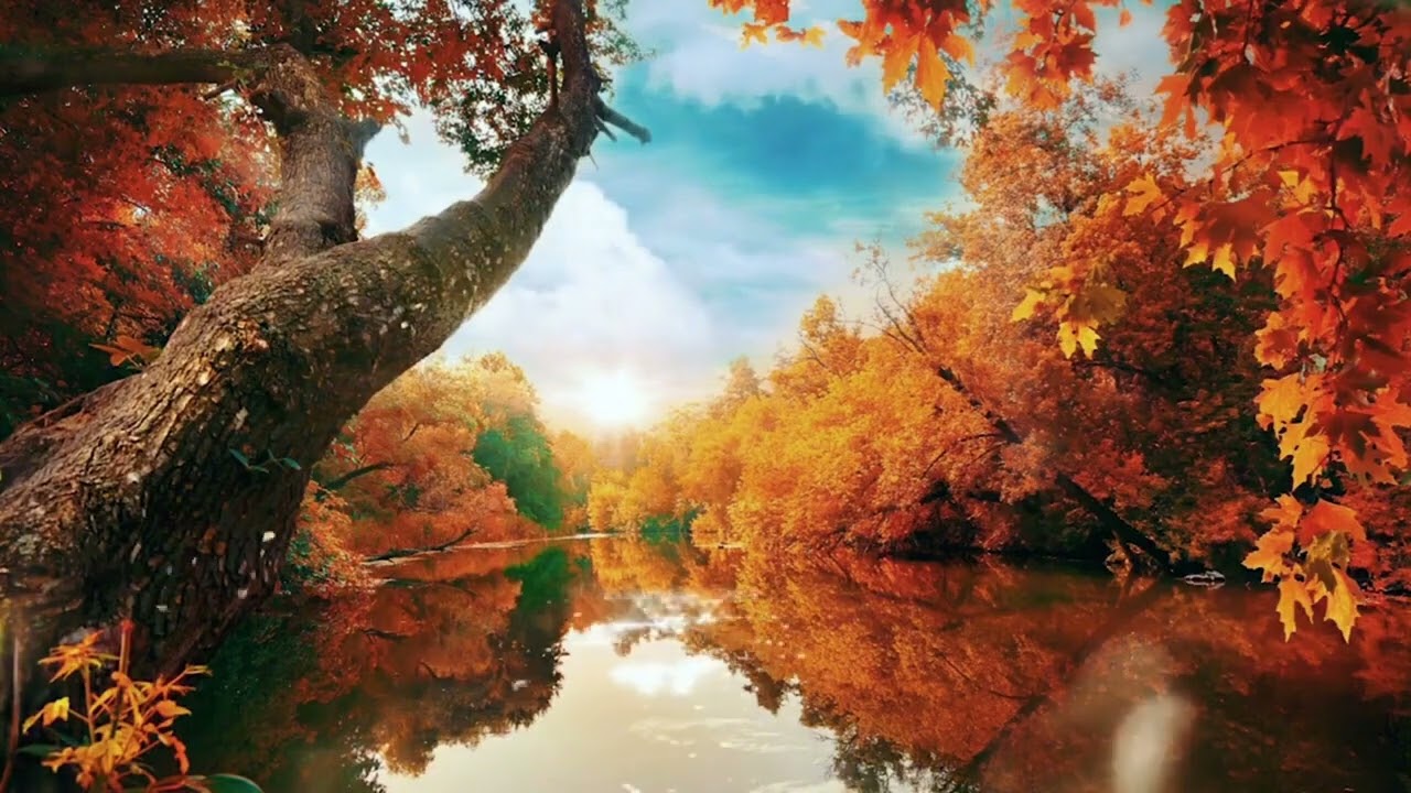 ADHD Relief Music Deep Focus Music for Better Concentration, Study Music
