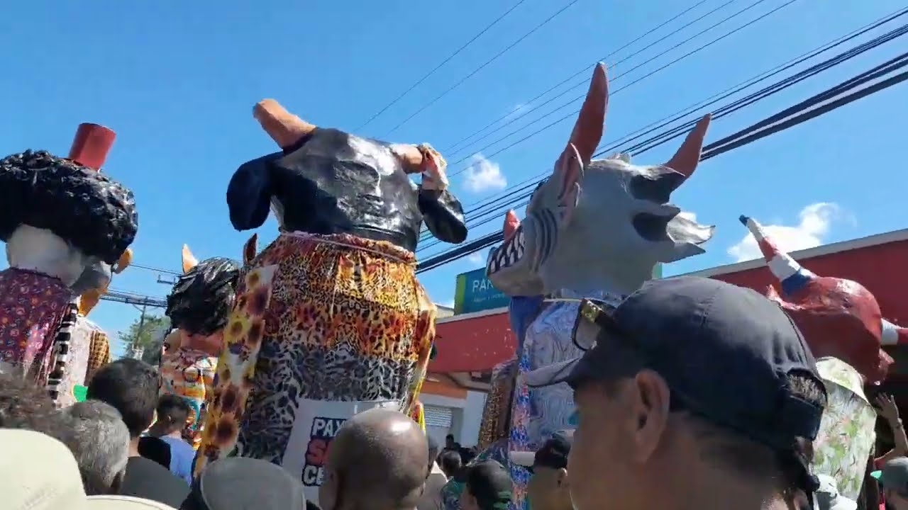 Payasos Santa Cecilia 20 de Enero 2023, Fiestas Tipicas Santa Cruz 2023, Recorrido Casi Completo