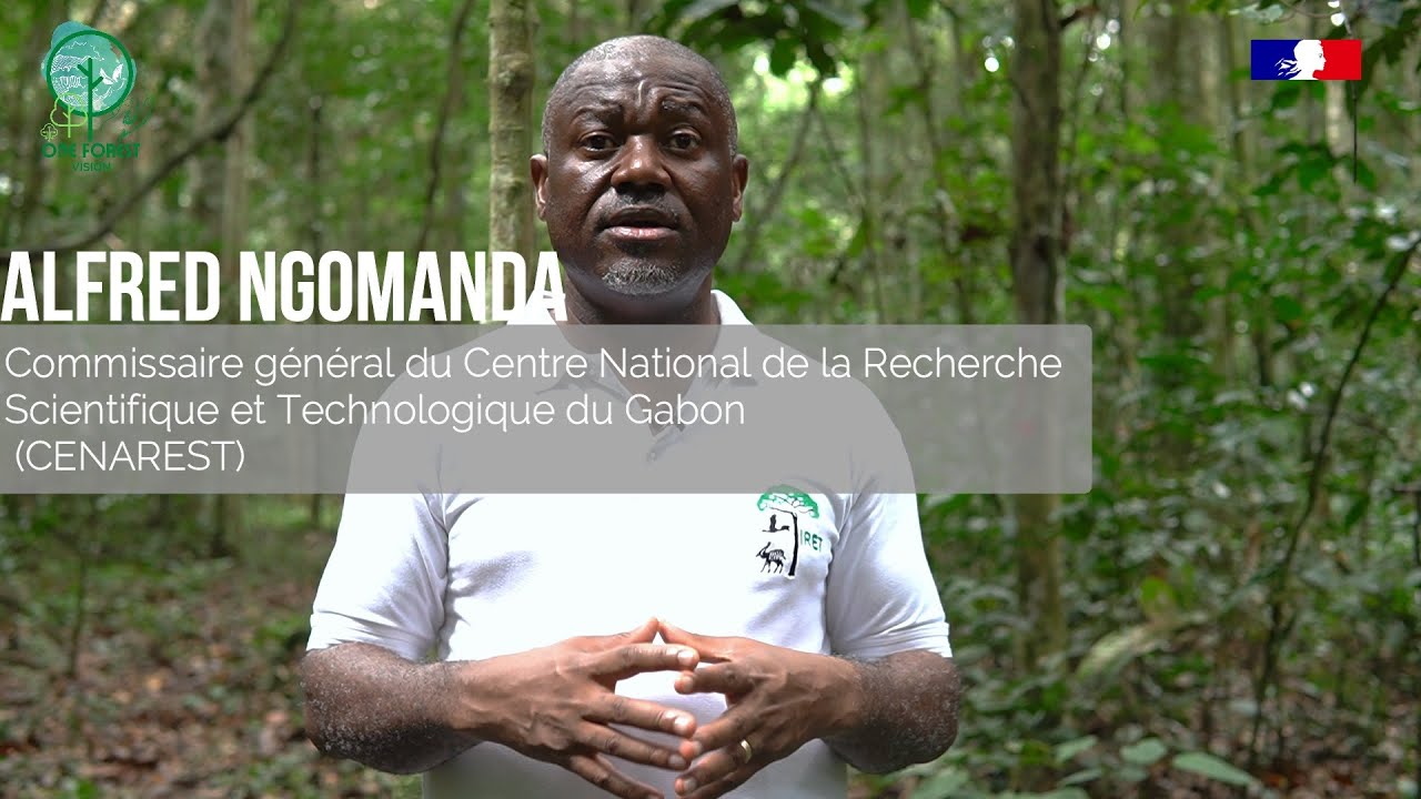 One Forest Vision Gabon -  Pr Alfred Ngomanda, CG du CENAREST