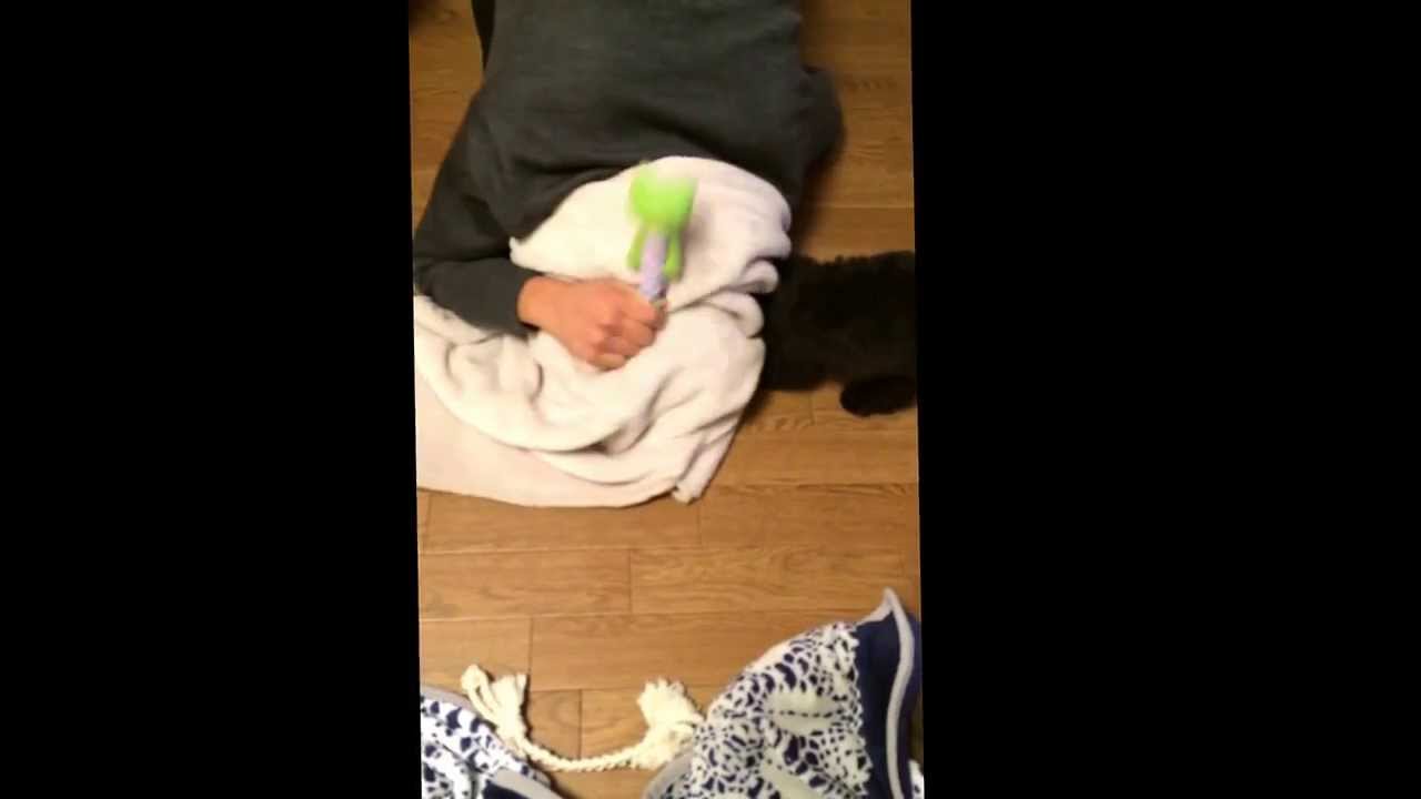 ドックVS変人