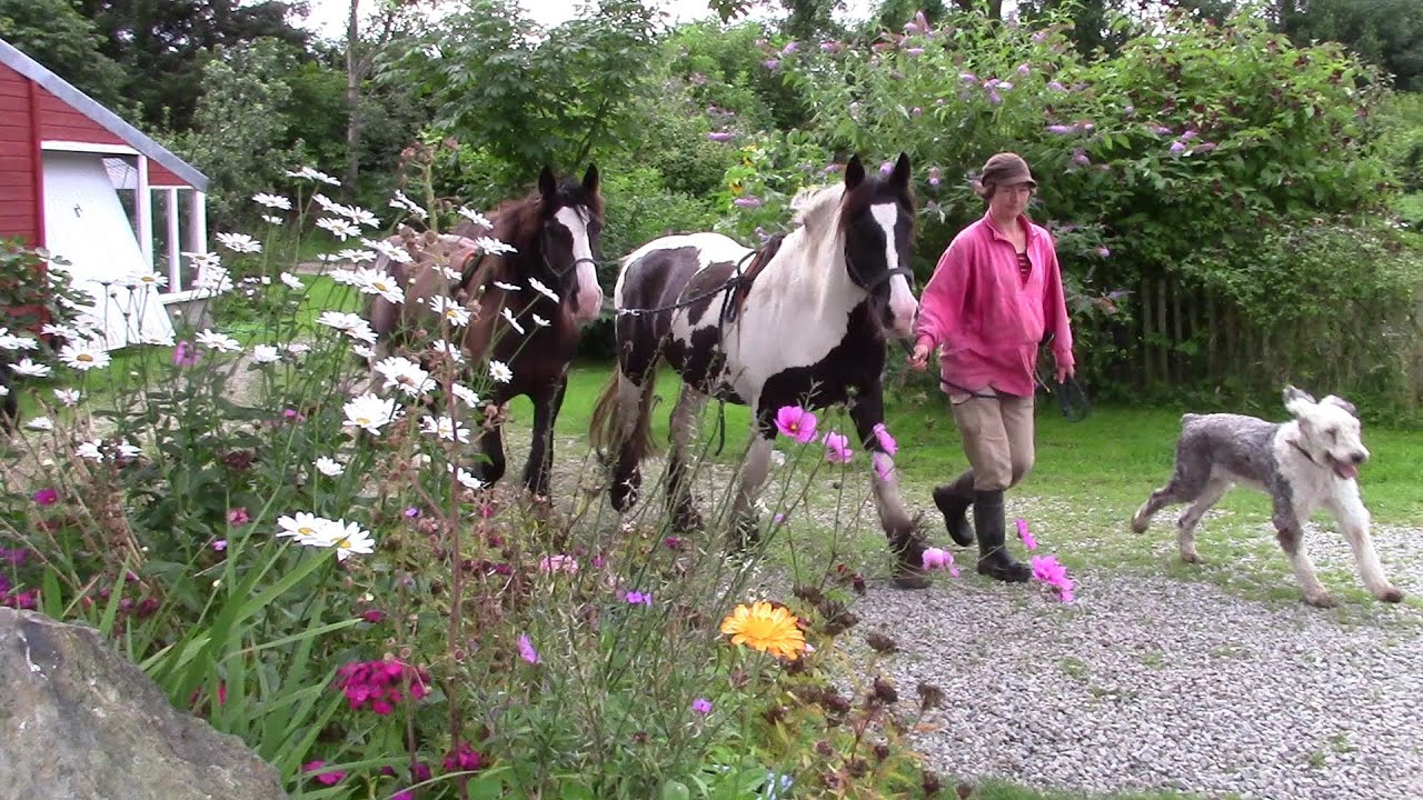 Morgenstund' hat Gold im Mund...und bedeutet vor allem 