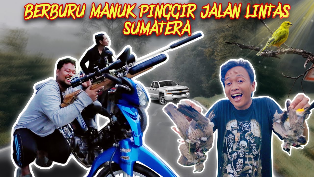 PERBURUAN BURUNG, TUPAI PINGGIR SUNGAI & JALAN RAYA BARENG MASTER SNIPER MERANTI