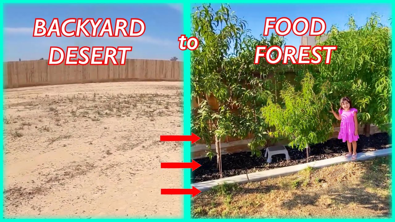 TURNING MY BACKARD INTO A FOOD FOREST !!!