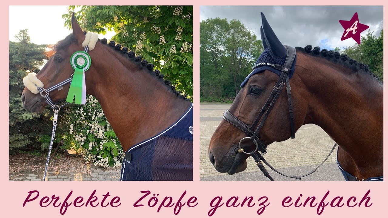 Rollzöpfe mit HAARNADELN I Mähne einflechten I TUTORIAL Turnier Zöpfe ohne einnähen