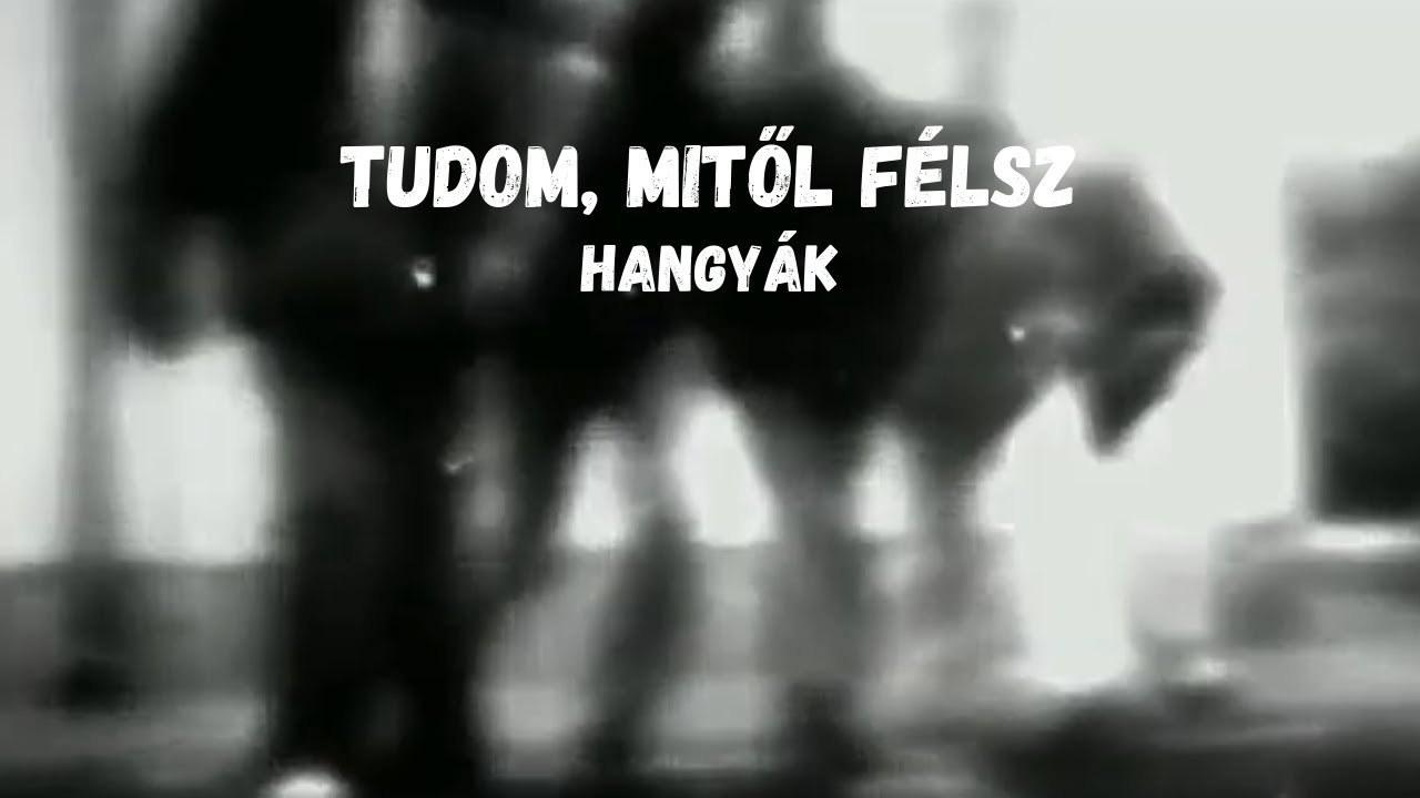 hangyák | tudom, mitől félsz