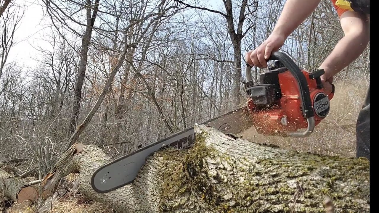 Echo 60S Falling & Bucking Dead Ash.