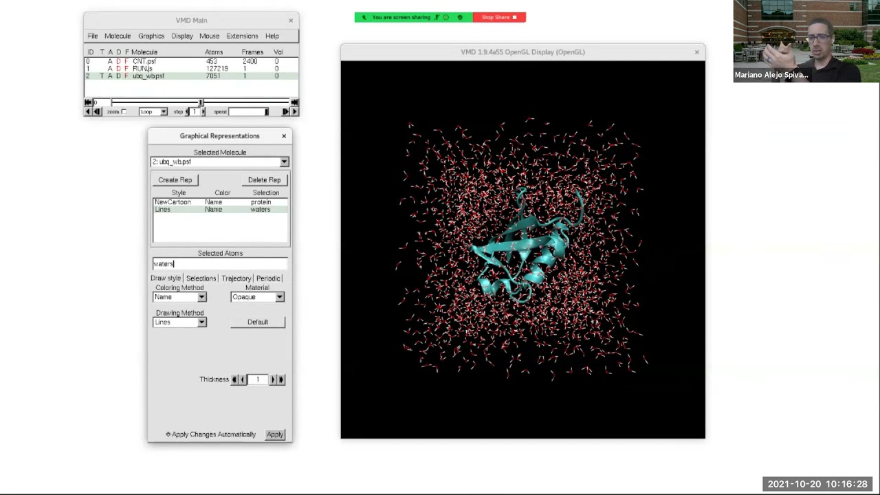 Mariano Spivak - Advanced visualization, figures and movies in VMD