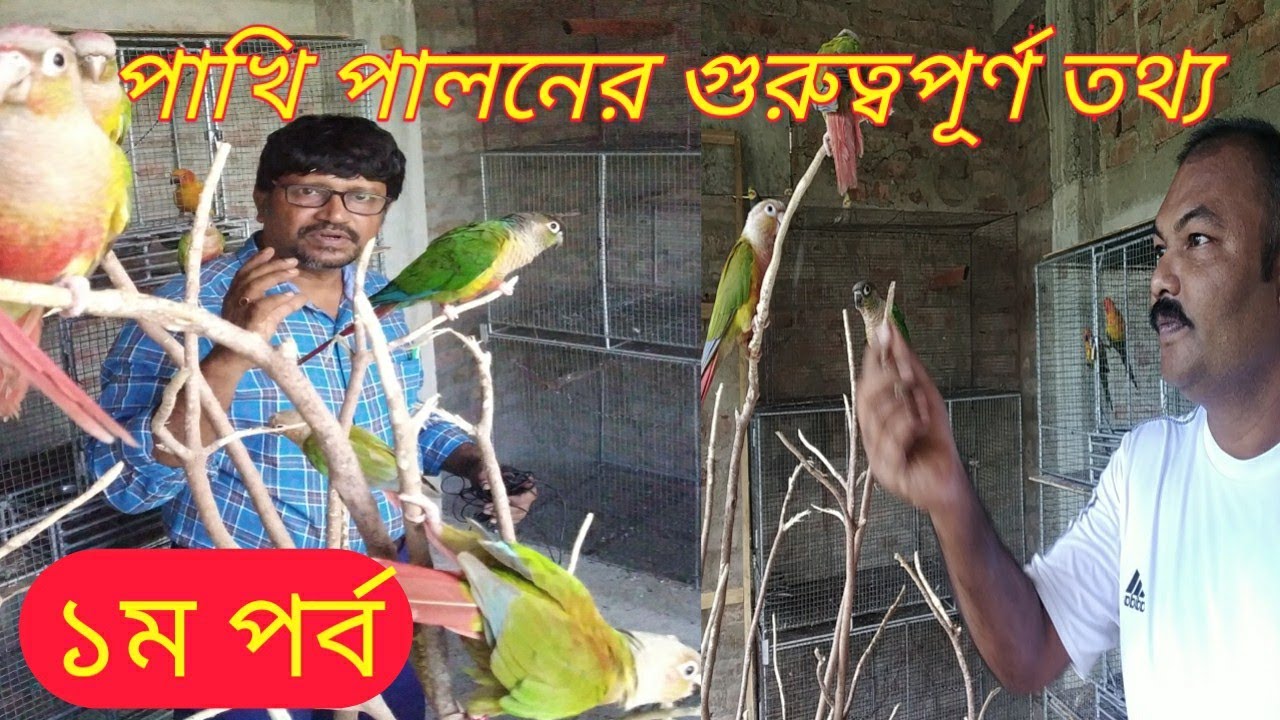 পাখি পালনের বিভিন্ন গুরুত্বপূর্ণ গোপন বিষয় || Most important information about Birds farming ||